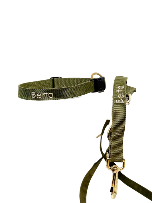 Sæt med sele og halsbånd med navn